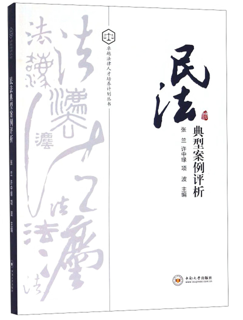 民法典型案例评析/卓越法律人才培养计划丛书