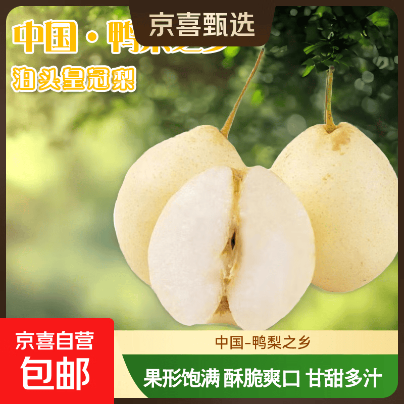 鸭梨河北泊头鸭梨之乡甘甜可口汁水充盈新航线 2斤箱装（含箱重）