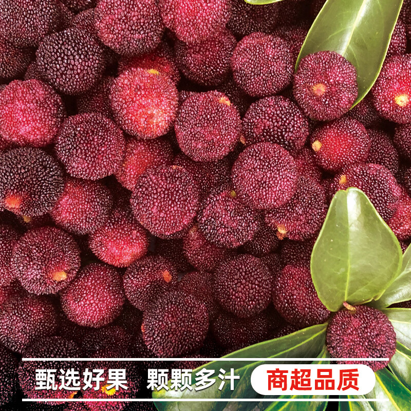 异果恋云南杨梅【JD空运】新鲜当季应季时令水果 鲜嫩多汁多地次日达 2斤装（小蓝子装）