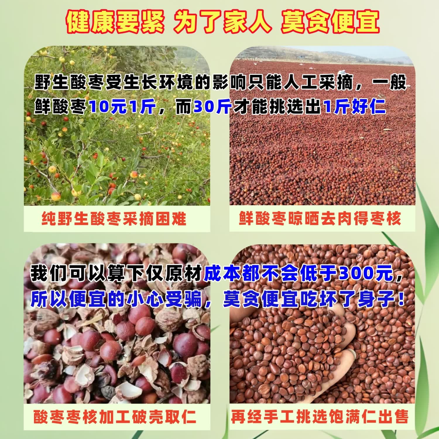 正宗河北野生酸枣仁人工精选炒熟打粉养生助眠茶无硫染天然中药材 炒酸枣仁纯粉 250g*1瓶 【睡前冲服安睡整晚】
