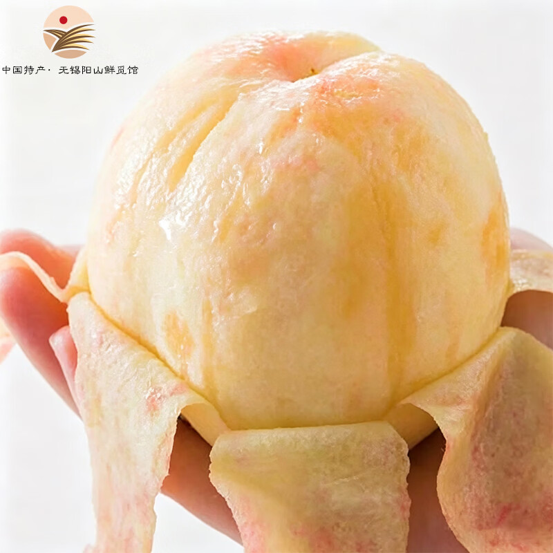 阳山水蜜桃 正宗无锡阳山水蜜桃 时令水果桃子 节日端午礼盒送礼 一级果4-5两12个礼盒净重4.8斤多