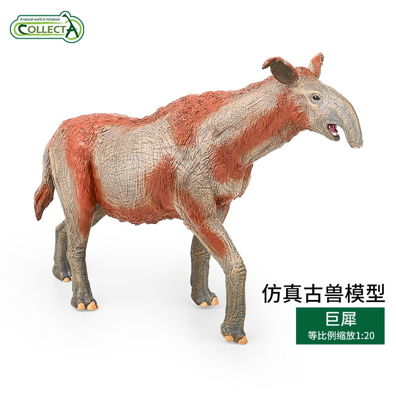 collecta我你他collecta仿真动物模型收藏史前生物儿童认知玩具 巨犀