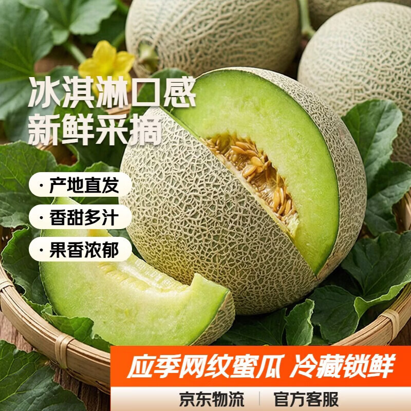 【东东农场专供】冰淇淋口感网纹蜜瓜新鲜采摘应季水果 网纹瓜带箱1.5-2斤