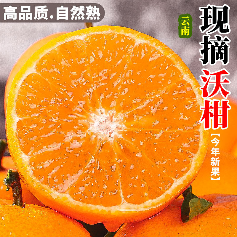 正鲜季（ZHENGXIANJI）云南沃柑新鲜水果当季直采整箱皇帝沙糖蜜橘砂糖橘子桔子 【果王】果径80mm+ 3斤净重约2.8斤【热卖款】 京东折扣/优惠券