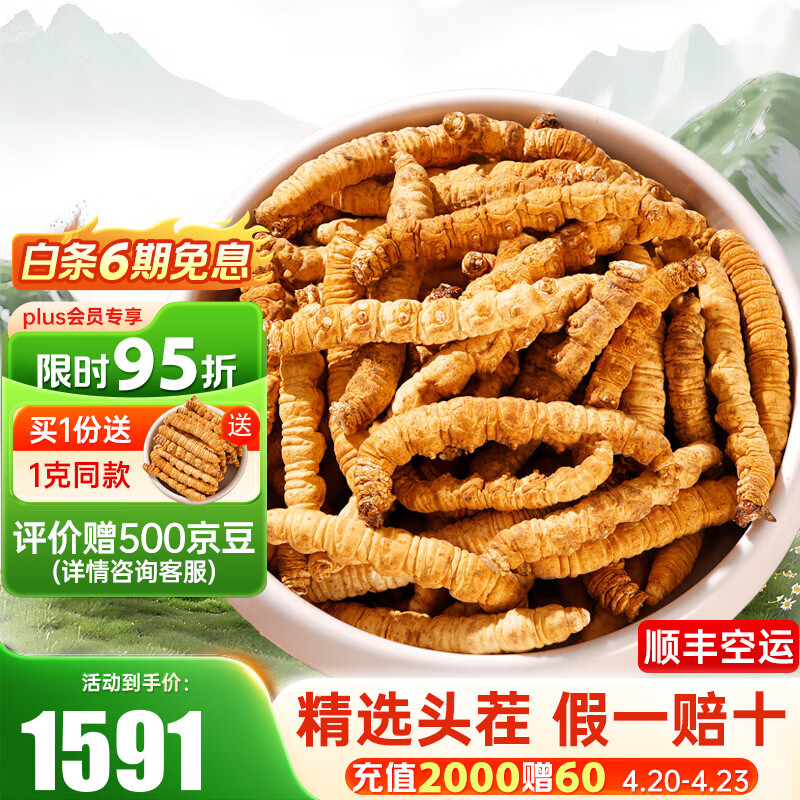 藏汐堂 冬虫夏草 新干头期纯肉节虫草 实惠家庭滋补品 大号纯肉节 20g*1盒 【送1克】