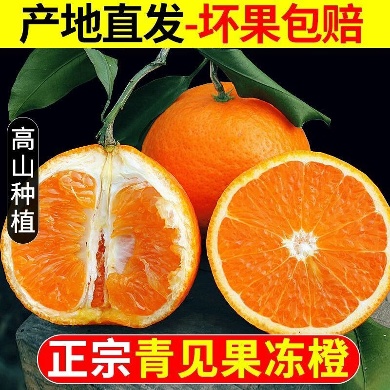 春公子四川青见果冻橙子应季新鲜水果手剥橙子孕妇手剥橙 带箱3斤【精品特大果80-85mm】 正宗四川青见果冻橙