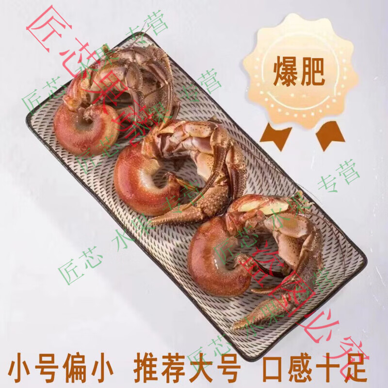 虾怪鲜活寄居蟹食用椰子蟹特大号大寄居蟹海怪海鲜水产贝类 【新鲜爆肥-膏满黄满】 1斤 5-7只-斤【中号】个大肉肥