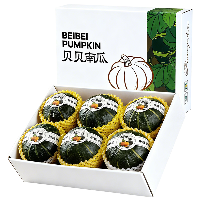 ��Ѹ���� �Ϲ�����С�Ϲ� ��Ŵ���� 5�� ����4.5�� 10.9Ԫ