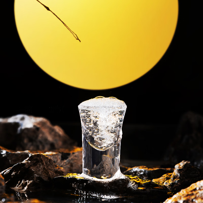 青城山四川师范大学合作纪念酒 岁月酒 52度浓香型白酒 52度 503mL 1瓶 1946岁月酒