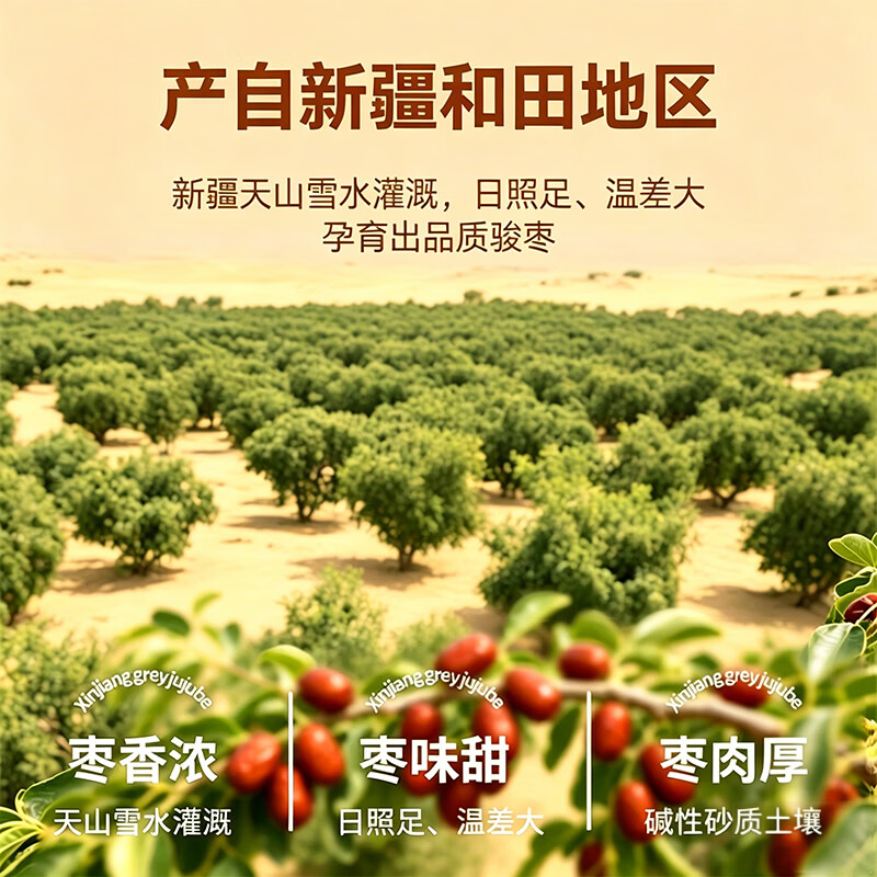 洽小熊新疆骏枣红枣子特产精选大枣蜜枣蜜饯果干零食煮粥煲汤 【优质】产地甄选一级大骏枣1000g（发500g*2）