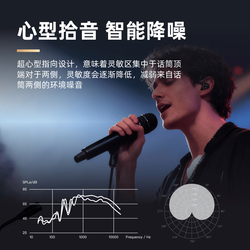 YY SOUND 有线麦克风话筒无线麦克风动圈麦克风吉他弹唱K歌唱歌户外音响会议舞台话筒 【超心型】SYJ-M14