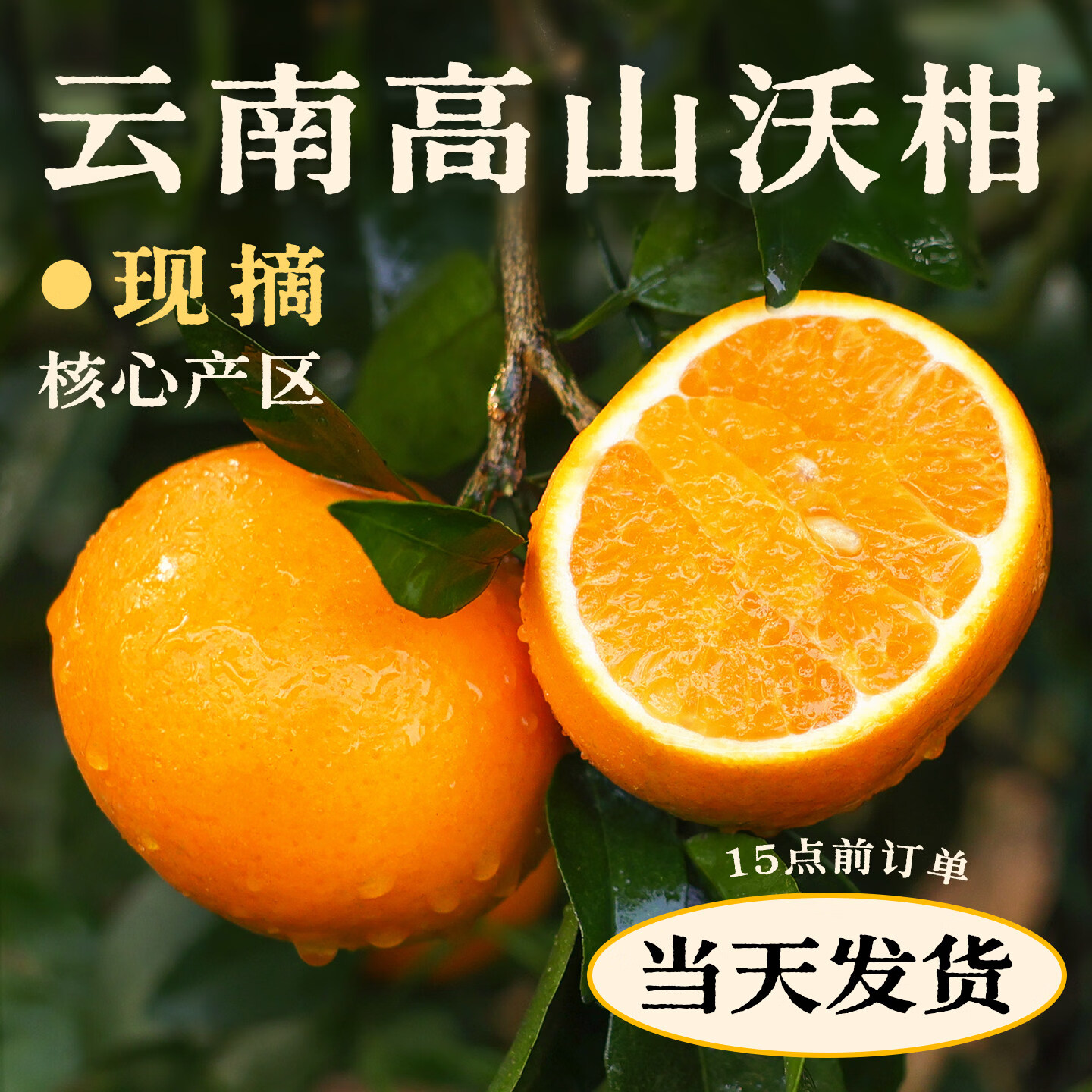 正鲜季（ZHENGXIANJI）云南沃柑新鲜水果当季直采整箱皇帝沙糖蜜橘砂糖橘子桔子 【果王】果径80mm+ 3斤净重约2.8斤【热卖款】