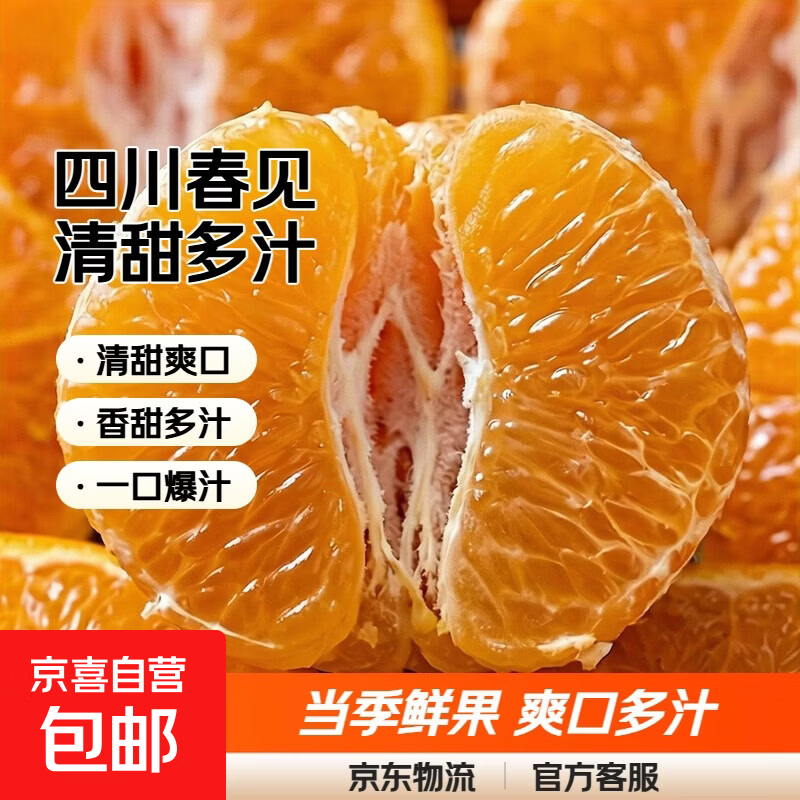 四川不知火丑柑香甜多汁清甜爽口当季耙耙柑橘子桔子 带箱1斤【2-4个果子】小果