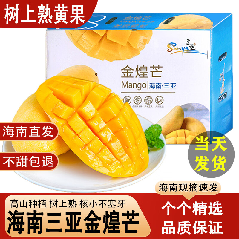 鲸咚亿农海南三亚金煌芒果树上熟新鲜纸核芒水仙大特大时令水果年货礼盒 9.5-10斤优选中果【单果300g+】