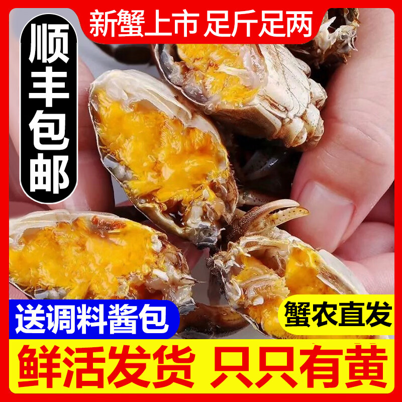 【活蟹】网兜蟹六月黄鲜活小螃蟹净重足重淡水大闸蟹公母河蟹 三元蟹[0.6-0.8两]30只+2只备损