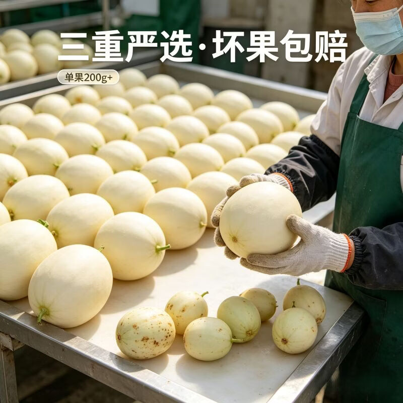 遇见悯农阎良甜瓜 地标好瓜 现摘现发 脆甜不齁 老人小孩皆宜 整箱包邮 阎良甜瓜净重4.5斤【鲜甜多汁】