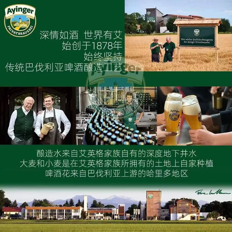 艾英格Ayinger德国原装进口精酿啤酒德式小麦白啤酒500ml 小麦啤酒 500ml*5瓶(赠开瓶器)
