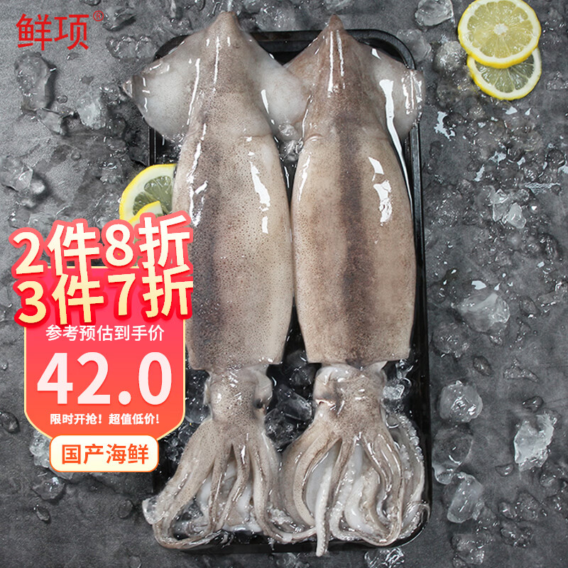 鲜项 鲜冻大鱿鱼2-4条净重1.2-1.3斤 铁板鱿鱼火锅烧烤食材 软足类