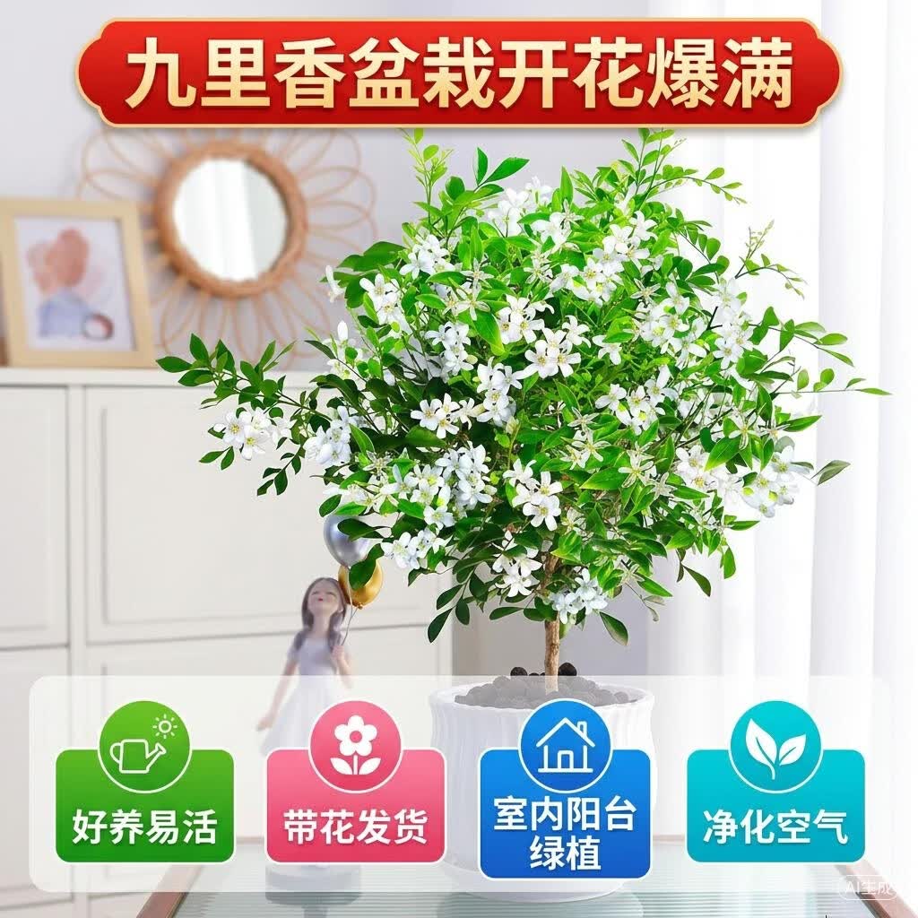 九里香老桩盆栽棒棒糖造型驱蚊室好养内客厅绿植四季开花浓香植物 10年独杆【棒棒糖型】 京东折扣/优惠券