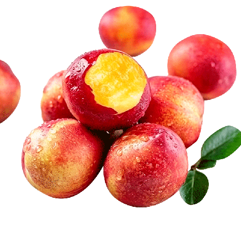 ������ �Ĵ�¶������������� 2��װ ����40g+����ˮ�� Դͷֱ�� 17.9Ԫ