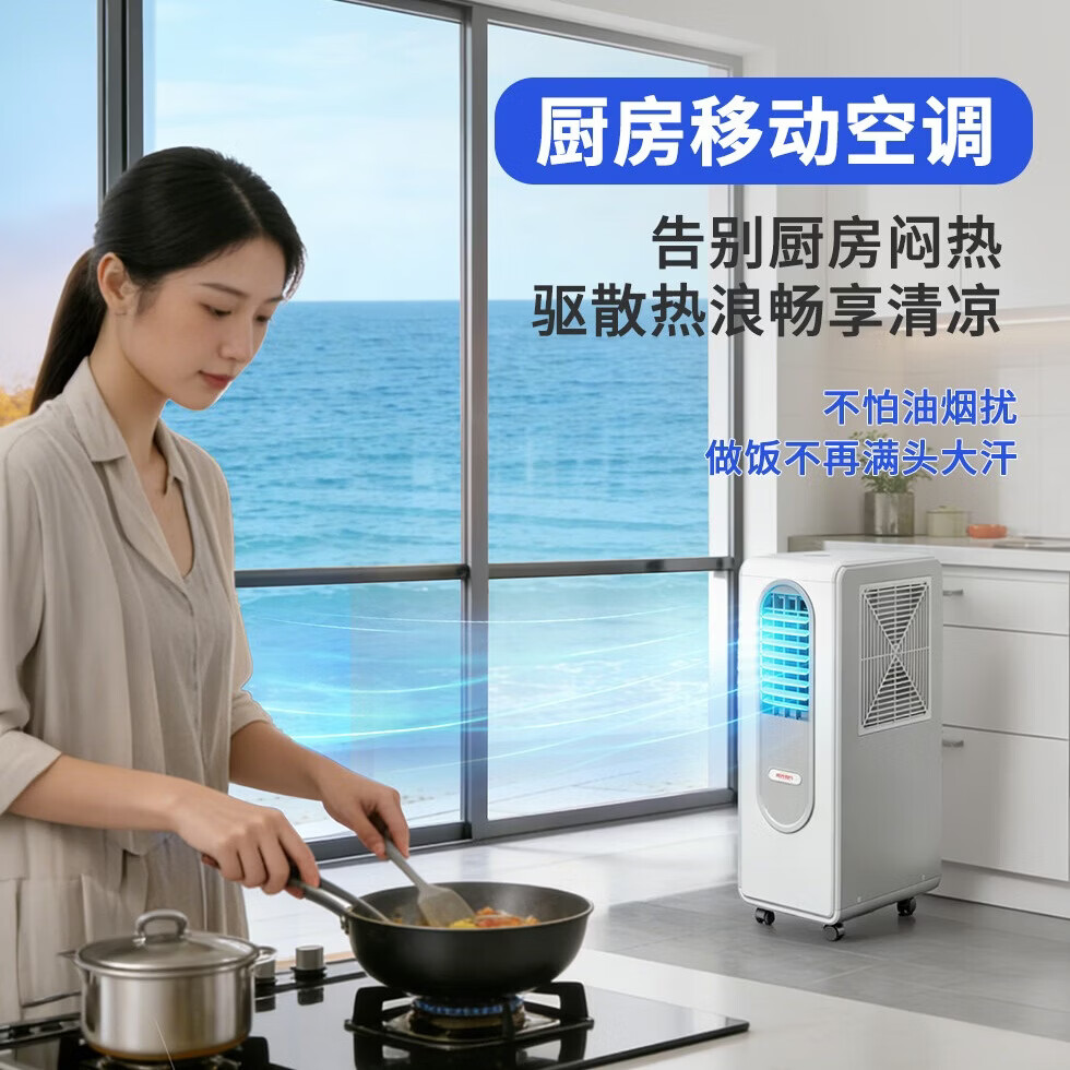 阳光有约移动空调单冷一体机压缩机制冷器空调扇家用冷气机冷风扇无外机免安装卧室厨房制冷降温免排热管 旗舰款（净化/节能/除湿）免排风管
