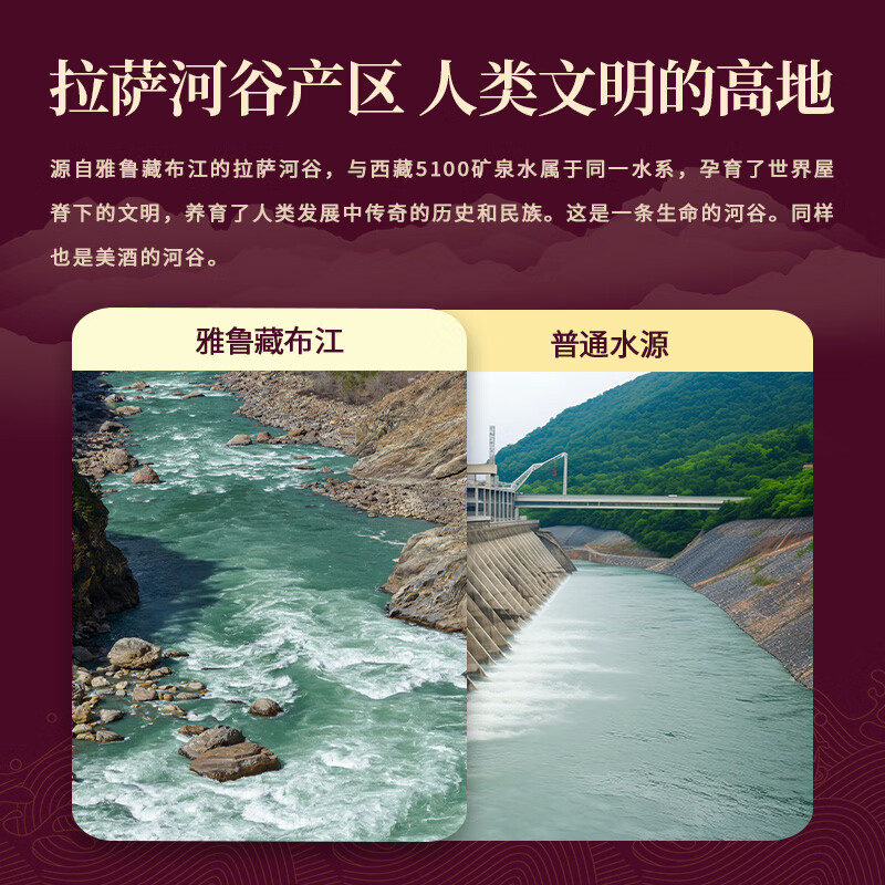 天佑德阿拉嘉宝天佑德青稞酒 清香型白酒 西藏特产 白酒礼盒 收藏礼赠 52度 500mL 6瓶 【圣湖4718】