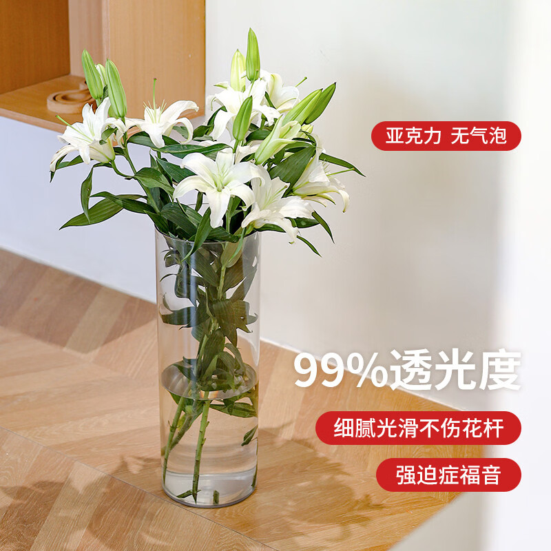 溥畔亚克力防摔花瓶水养水培插花富贵竹透明直筒亚克力鲜花装饰客厅小 口径20CM高度40CM