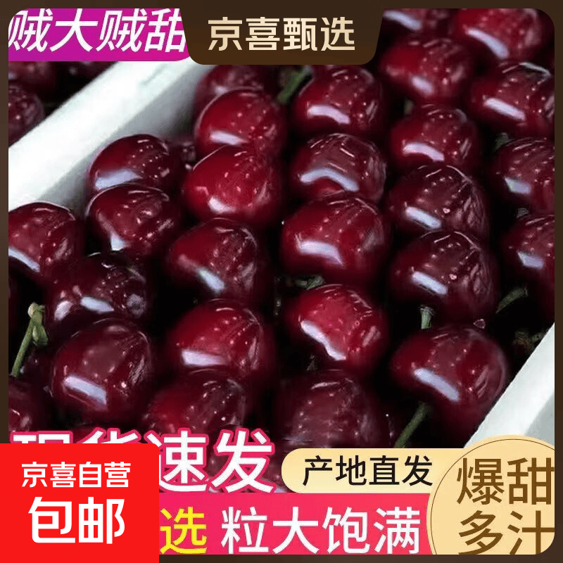 京喜加大连美早樱桃当季鲜果 多规格满足 现摘现发 脆甜多汁品质保障 200g(净重) 大果 J 单果26-28mm