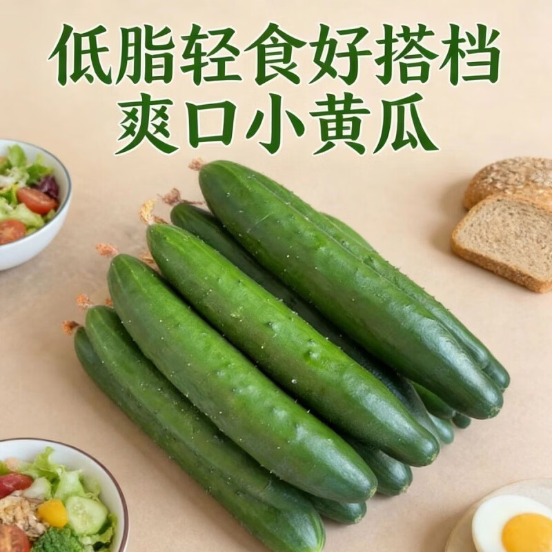 农家种植绿黄瓜爽口脆甜苏北新鲜当季现摘生吃水果小黄瓜减脂简餐 当日采摘 5斤 净重