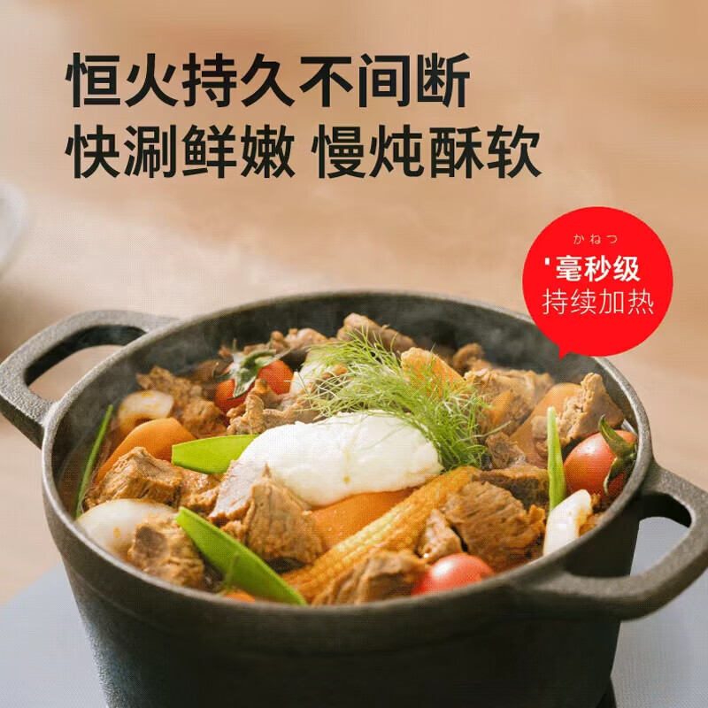 东芝（TOSHIBA）炎匠电磁炉电磁灶7星控温家用大功率猛火爆炒 10重安全保护 触控面板低温烹饪一键定时政府补贴 IC-21RUC(炎匠)