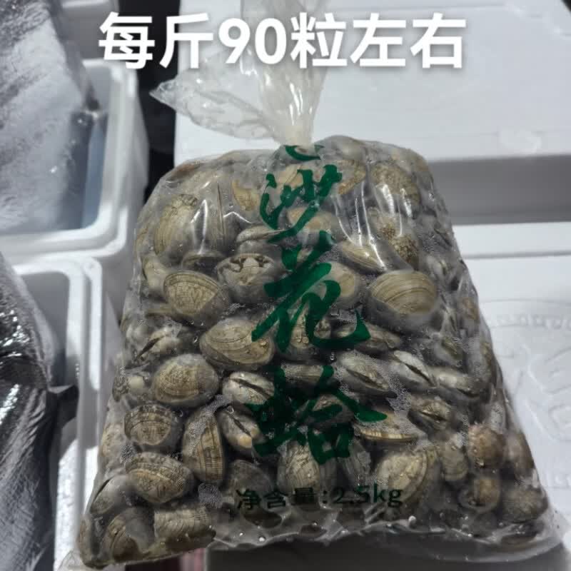 丹东鲜花甲蛤蜊花甲鲜活花甲原产地直发 中号4斤（每斤约60粒）