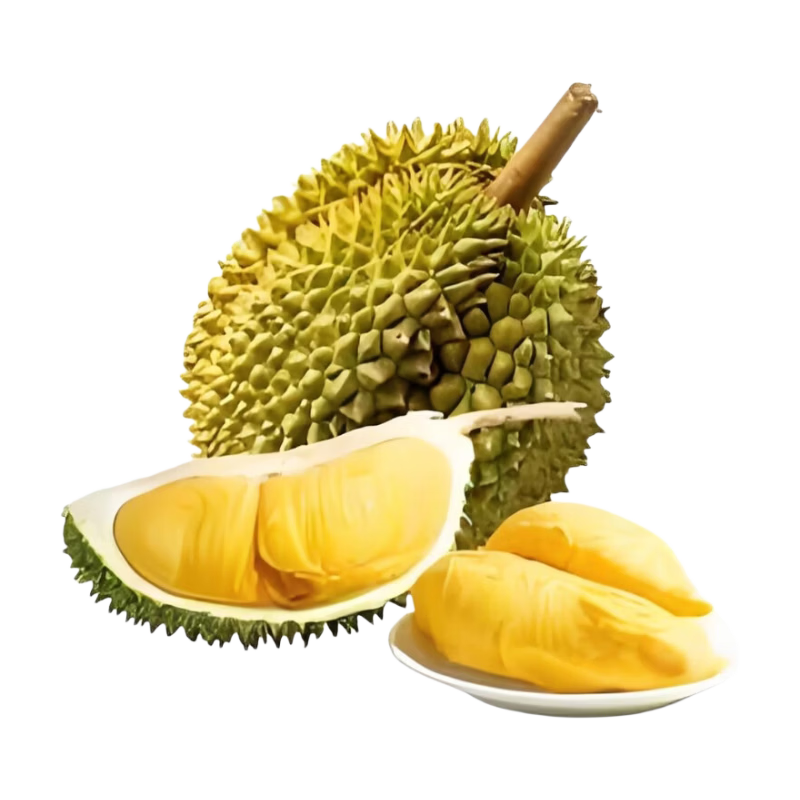 ̩������������ �������ʹ��ⱥ����Ŵ���� ����2-3�ﵥ�������� 66.57Ԫ