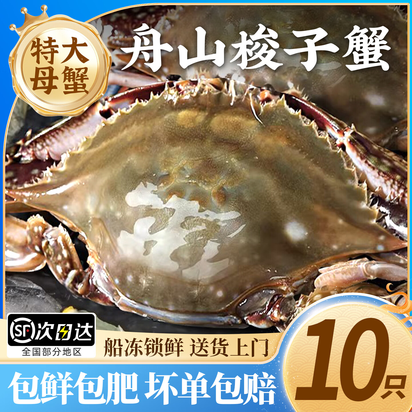 梭子蟹鲜活特大野生舟山大螃蟹海鲜新鲜冷冻海蟹水产飞蟹白蟹顺丰 3-4两/只【全母梭子蟹10只装】