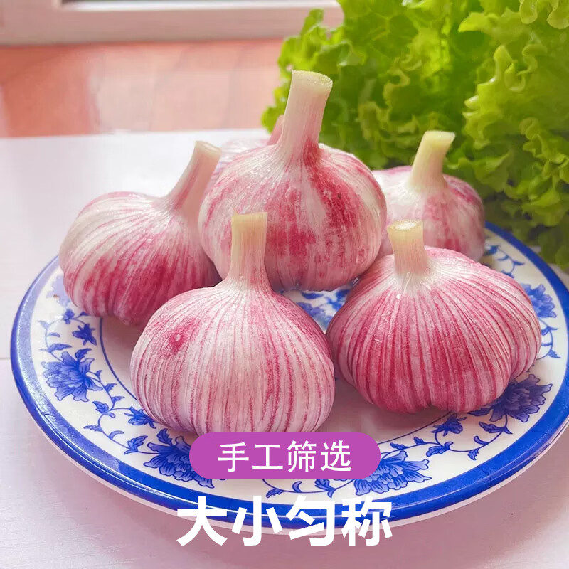 紫白皮大蒜当季蔬菜调料调味大蒜头 紫白皮新蒜2斤