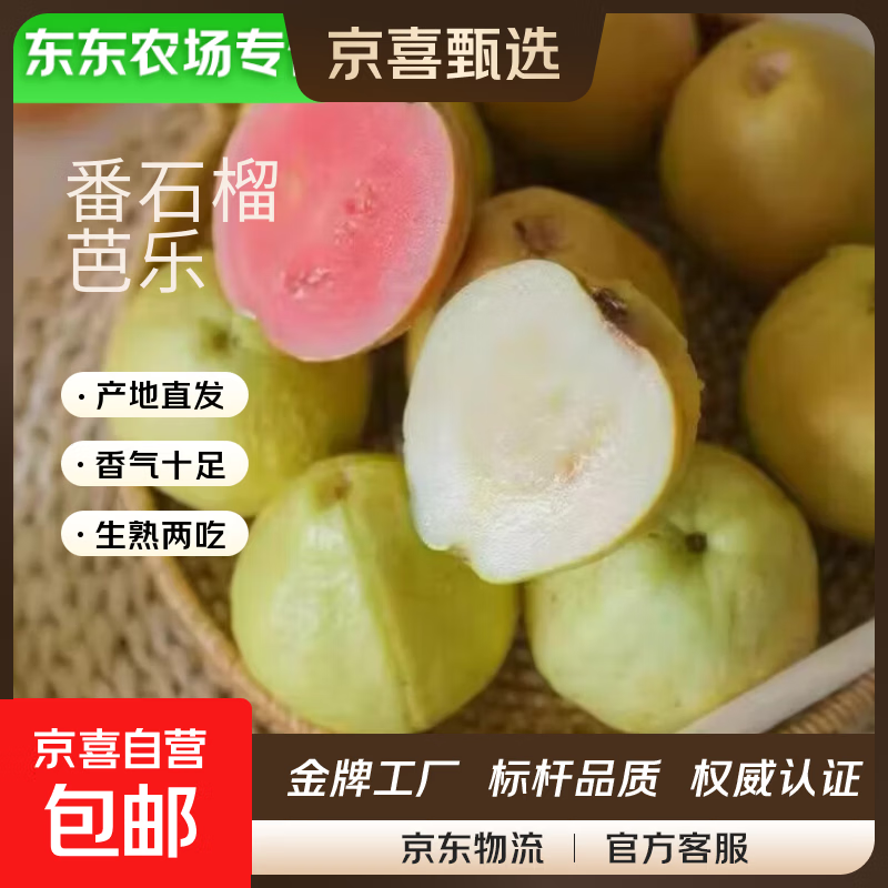 【东东农场专供】新鲜水果白心芭乐整箱出售番石榴现摘现发 带箱2斤 白心芭乐