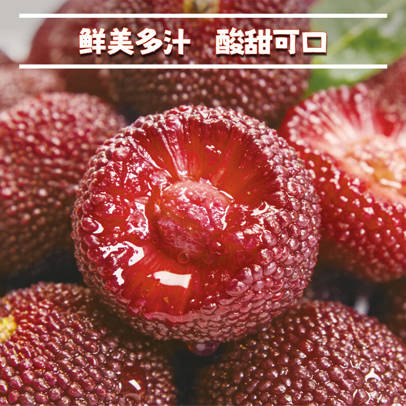 异果恋云南杨梅【JD空运】新鲜当季应季时令水果 鲜嫩多汁多地次日达 2斤装（小蓝子装）