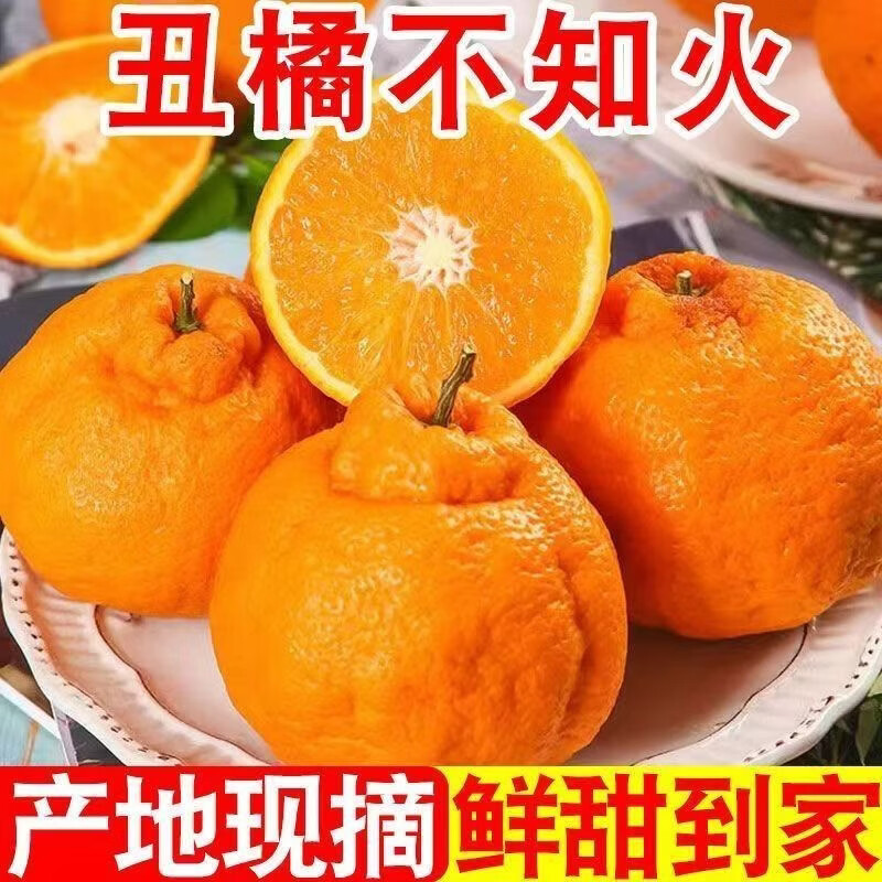 春公子四川丑橘不知火当季新鲜现摘应季水果桔子丑八怪 带箱3斤 大果【果径75-80mm】新鲜超甜