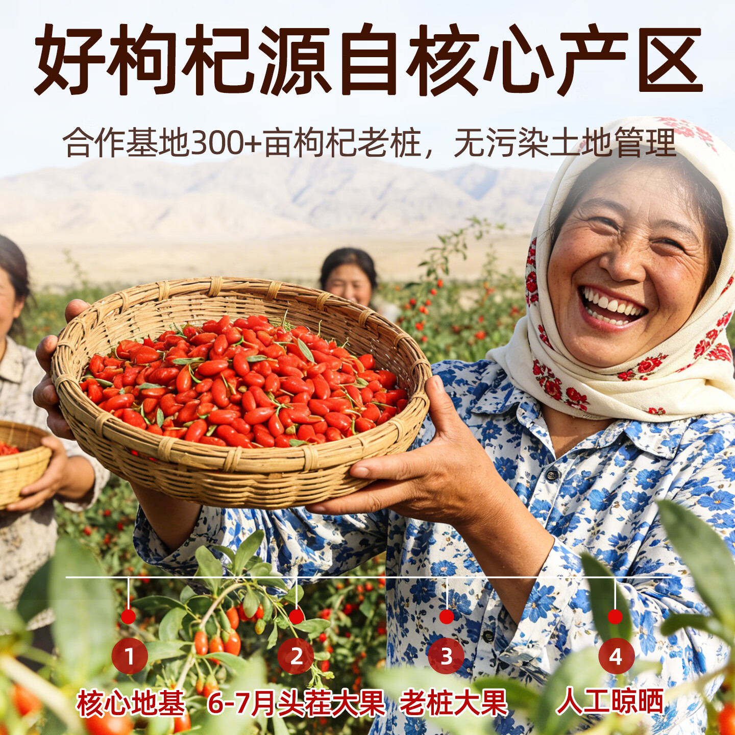 固滋方国药药材 枸杞子500g宁夏特级正宗原产地新货 枸杞泡水喝专用免洗 【特优贡果】精品 250g*1罐