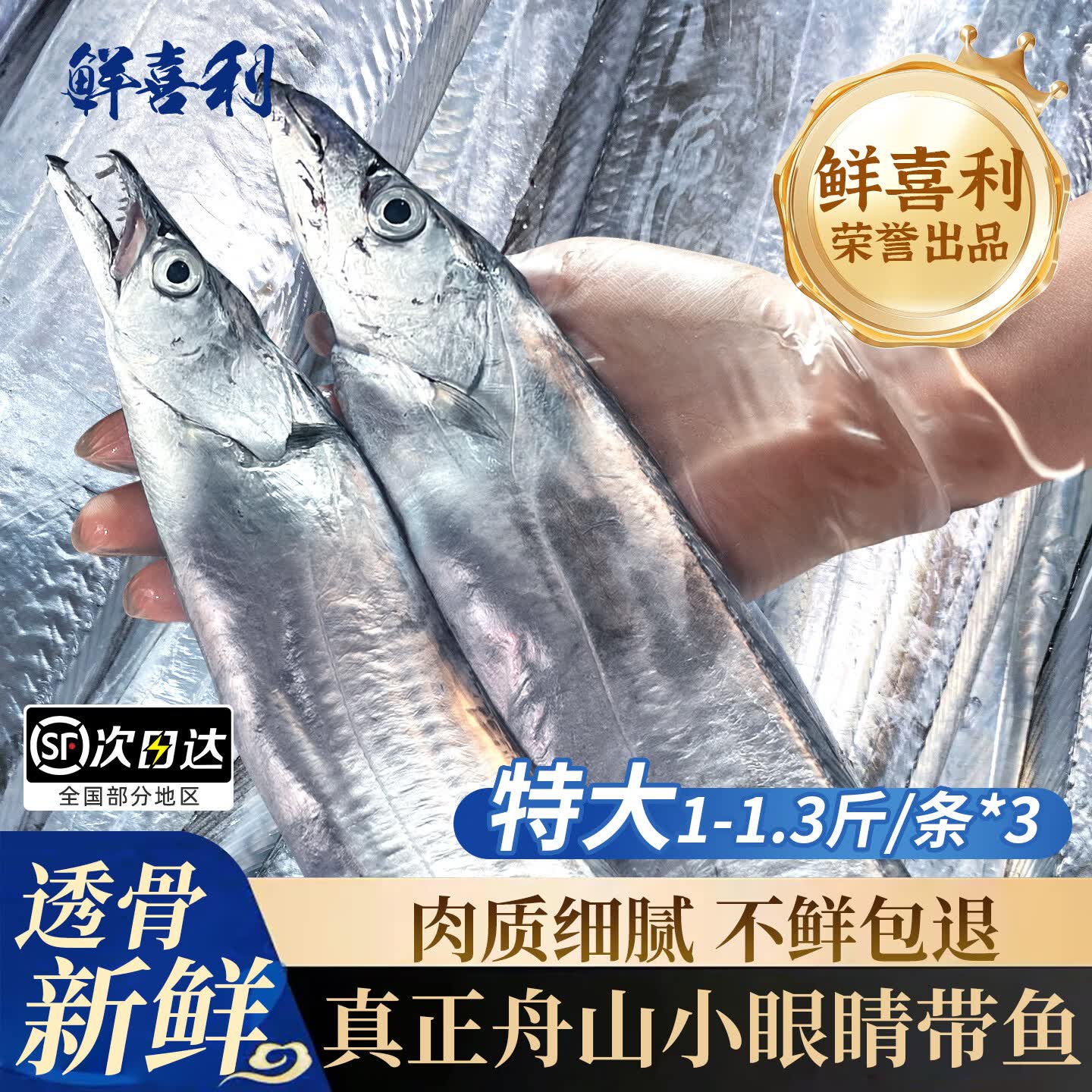 鲜喜利舟山特大带鱼新鲜整条鲜活冷冻小眼海钓油带鱼生鲜海鲜礼盒刀鱼 1-1.3斤/条【3条 油脂丰富 】