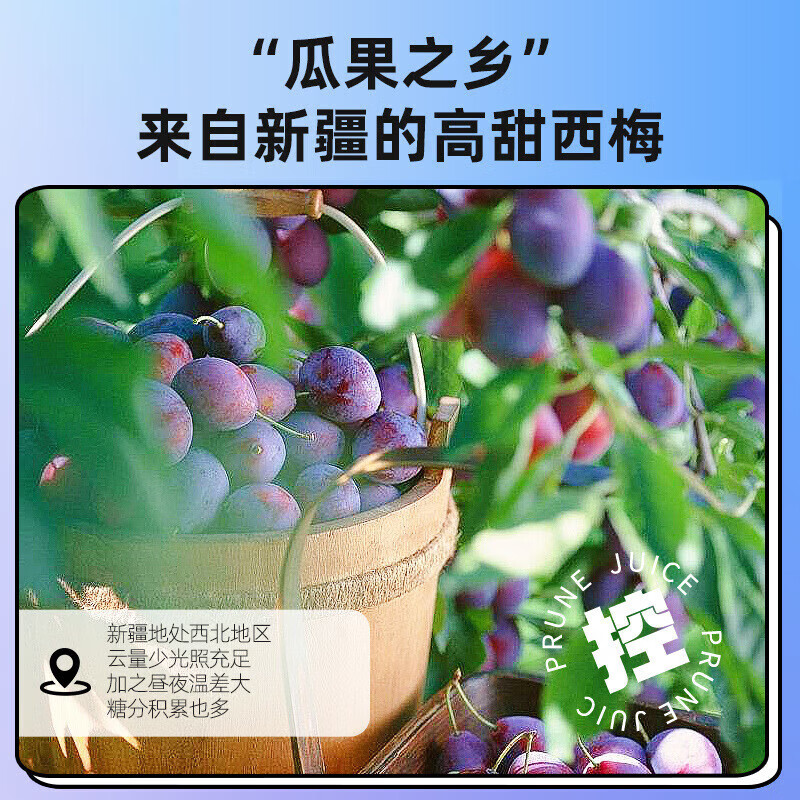 默小吉 枸杞原浆礼盒 宁夏红枸杞汁杞里香品牌 西梅原浆 210ml*1盒