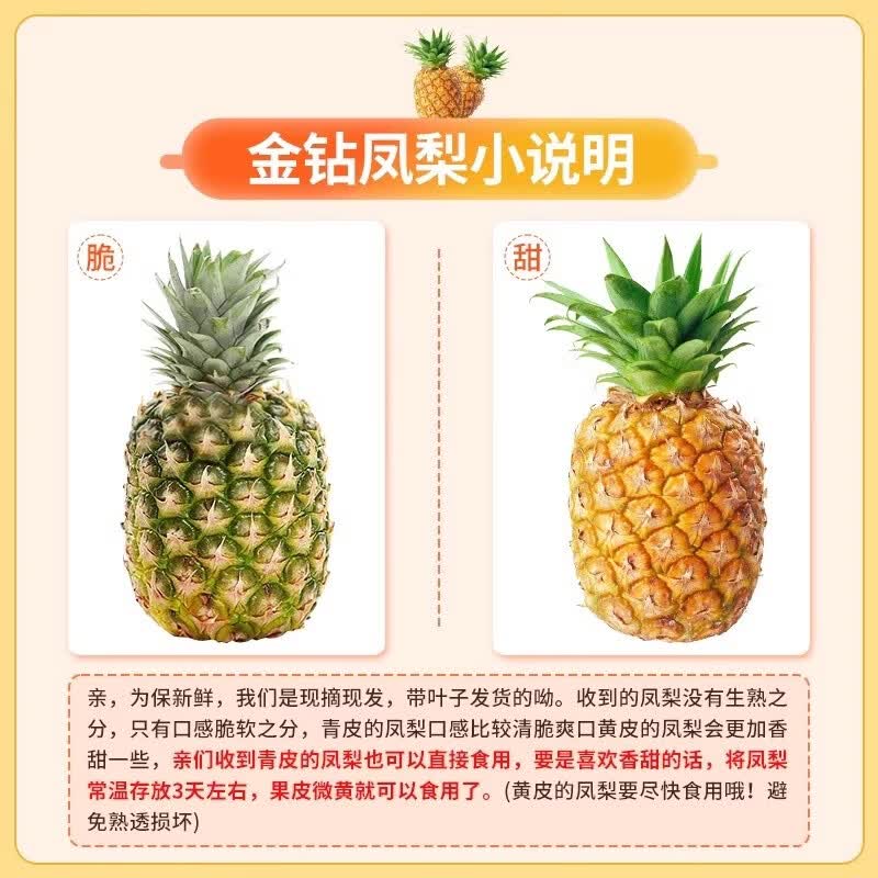 鲜宝道海南金钻凤梨新鲜整箱发货 5斤凤梨3-5个净重4.5斤