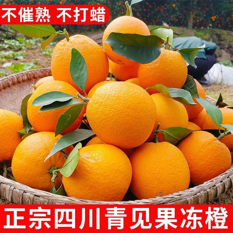 春公子四川青见果冻橙子应季新鲜水果手剥橙子孕妇手剥橙 带箱3斤【精品特大果80-85mm】 正宗四川青见果冻橙