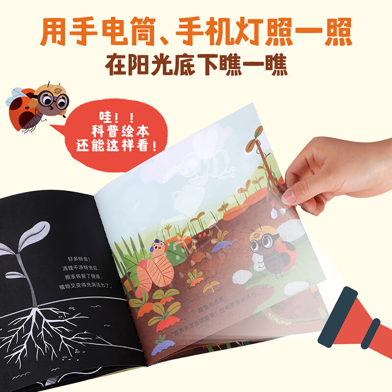 乐乐趣手电筒看里面绘本 鸟窠 儿童名家名作绘本茅盾文学奖获得者贾平凹经典散文文学作品 小学生 3-10-14岁 手电筒看里面科普绘本（全5册）