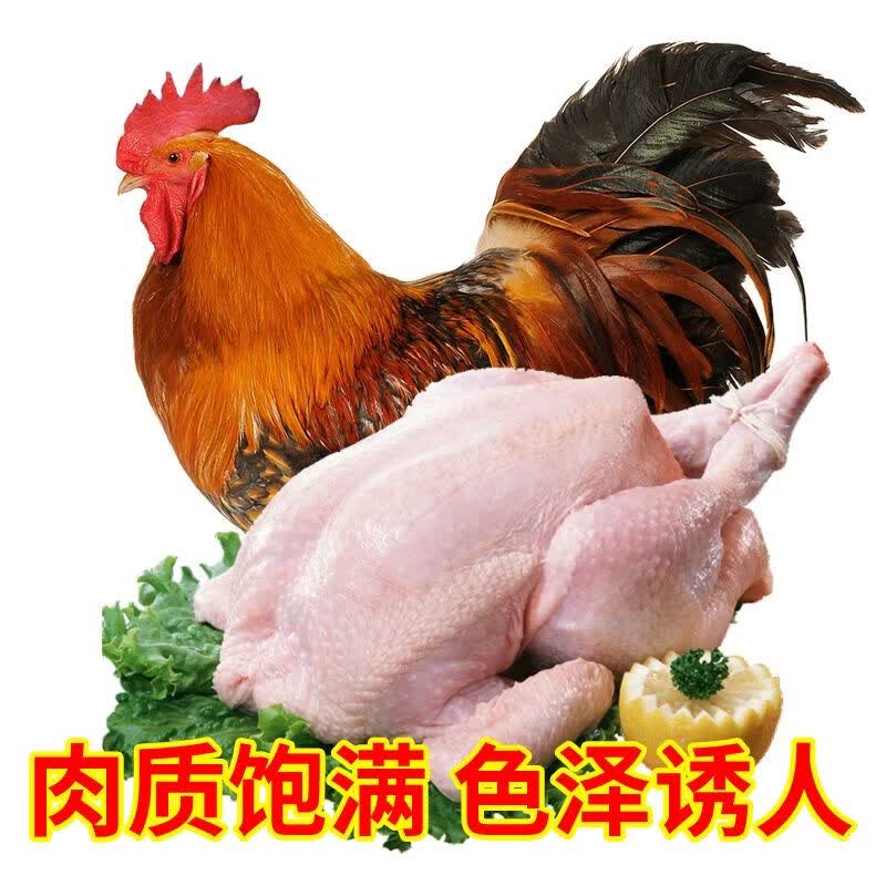 京东/顺丰直达正宗公鸡农家散养土鸡走地鸡溜达鸡当年大公鸡批发 公鸡杀后净重6斤