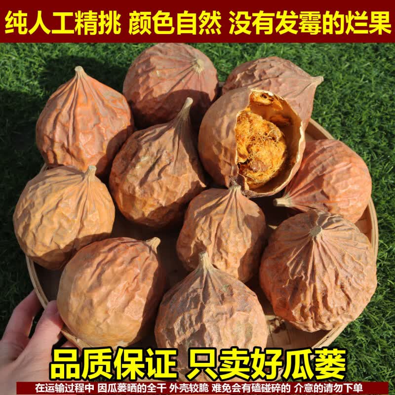 同仁堂（TRT）全瓜蒌中药材干货深山瓜蒌自然晒干无薰硫整个瓜蒌果新货精选瓜蒌 500g一斤[精选大整个瓜蒌] 1袋*1袋