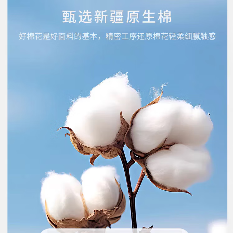 【工厂直发】枕巾一对装纱布加大加厚枕头巾四季学生成人情侣盖巾 太阳神【绑带款】-防脱落52*78cm(两条装)