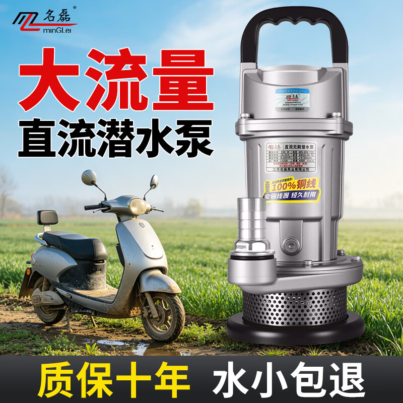 名磊直流潜水泵48v60v72v电动车通用电瓶车专用抽水泵浇菜农用灌溉机 【银】1寸48-72V850W15米线+10米管