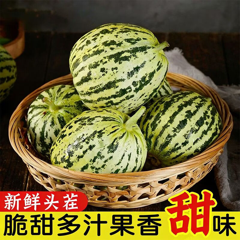 飘香果度山东头茬花蕾花美人甜瓜香甜多汁新鲜现摘 净重4.8斤中果【单果200g+】