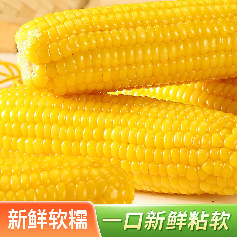 佟创东北黄糯玉米棒 新鲜甜糯玉米 代餐轻食真空包装黏粘玉米蔬菜生鲜 整棒黄糯玉米 8棒装 精品果 220g/棒