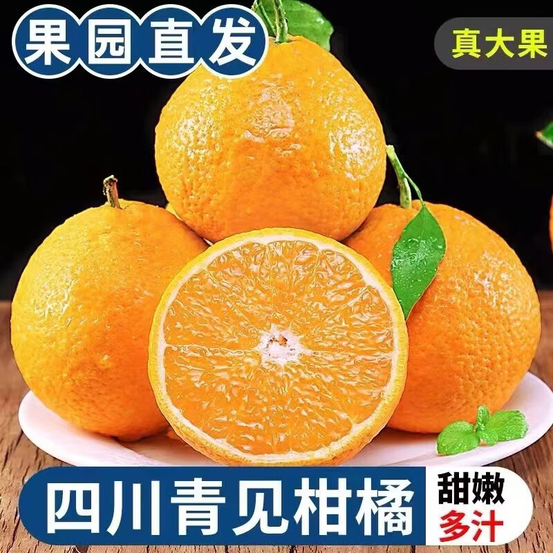 松林美果现摘现发四川青见果冻橙新鲜孕妇水果酸甜口感新鲜发货净重4.5斤